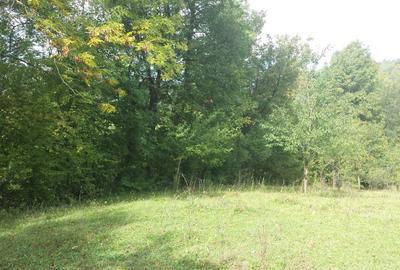 Spațiu comercial, în Provița de Jos - 5