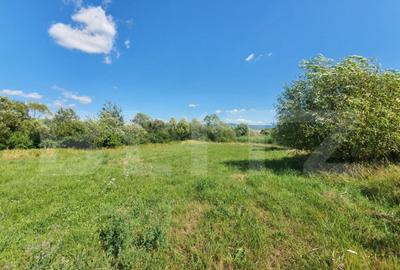 Teren de 3100 mp, în Central - 4