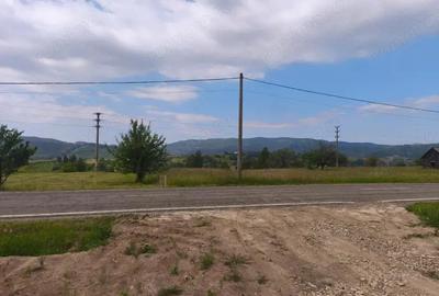 Casa+teren 5000mp, 70ml la DN 2E, zona Cacica, Radauti - 9