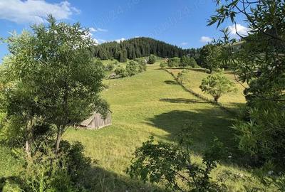 Teren de 6300 mp, în Fundata - 3