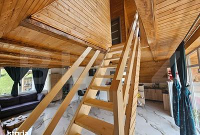 Casă cu 4 camere cu Teren 4565 Mp în Avram Iancu - 8