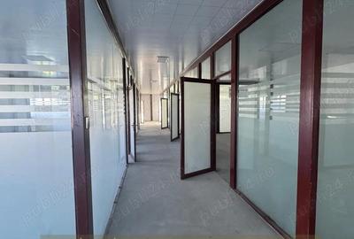 Hale industriale 2 x 1920mp DN1 de inchiriat la 3.9 euro mp neg. - 7