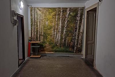 De Inchiriat Apartament  2 Camere  Cismigiu sector 1 - 3