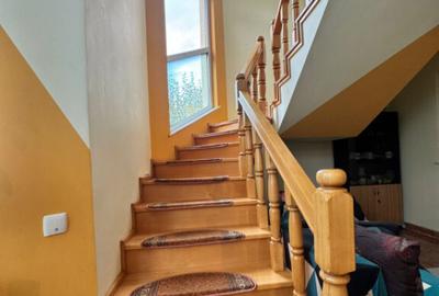 CASA DE VIS SAU AFACERE DE SUCCES BAIA SPRIE - 13