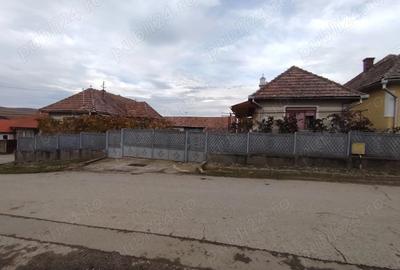 Casa locuibila, cu doua corpuri de cladiri, utilita?i, 1200 mp teren - 2