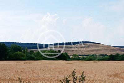 Teren intravilan de vanzare in Fughiu, Bihor - 2
