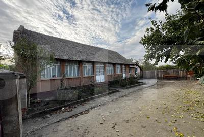 Casa 4 camere cu teren de 3892 mp - 7