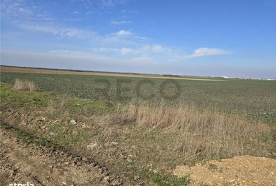 Teren de 22418 mp, în Calea Aradului - 2