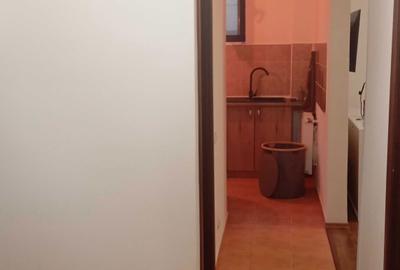 Casă cu 2 camere cu Teren 56 Mp în Berceni - 7