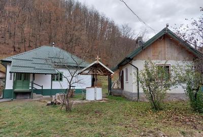Casa, teren si padure de vanzare-40.000 mp, direct proprietar in Apuseni. - 4