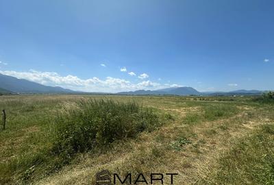 Teren Intravilan Rasnov 7.500 mp - 10