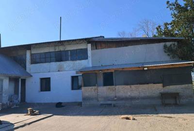 2 Hale+cantar 50 tone - 2