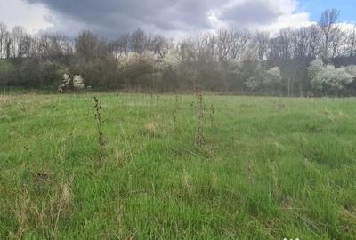 Teren de 12264 mp, în Central - 5