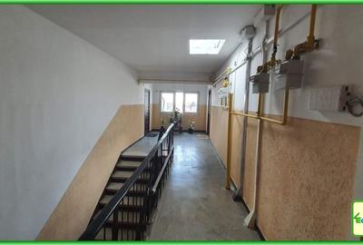 Apartament cu 2 camere decomandat în Malu Roșu - 5
