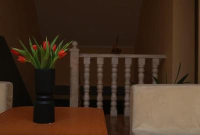 Hotel/Pensiune, de 700 mp, în Ditrău - 18