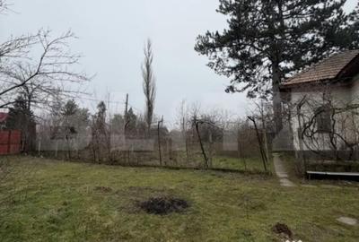 Casă cu 3 camere cu Teren 2714 Mp în Central - 9