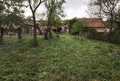 Vand casa cu etaj, Chinteni - 4