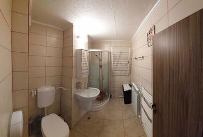 Apartament cu 2 camere semidecomandat în Mioriței - 6
