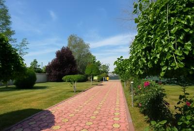 Casă individuală cu 9 camere cu Piscina în Domnești - 20