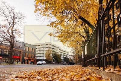 Apartament 2 camere open-space Royal Town Copou - 27