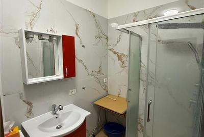 Apartament cu 2 camere, mobilat în Aurel Vlaicu