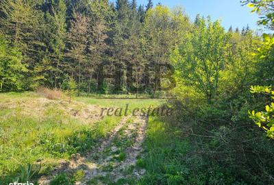 Teren de 3128 mp, în Mărgineni - 1