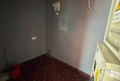 Spațiu comercial, de 80 mp, în Brotăcei - 2