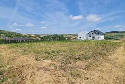 Teren Intravilan 1846 mp Casa | Duplex - 5