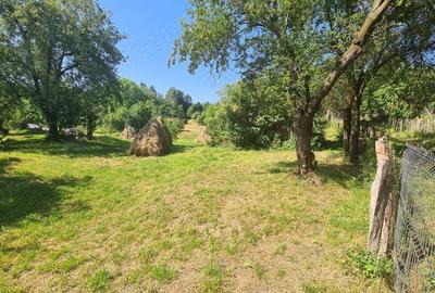 Teren de 6348 mp, în Corbeni - 5