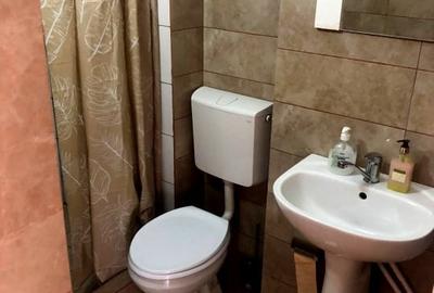 Apartament cu 3 camere, mobilat în Gară - 3