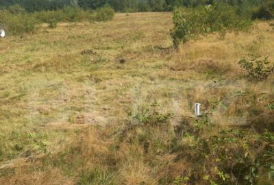 Teren extravilan 2900 mp, Car?i?oara- Sub Mal - 2