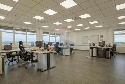 Hală industrială 5.000–12.000 mp de închiriat, Ghimbav - 23