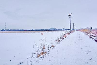 Teren Intravilan - Pretabil Investitie - 1