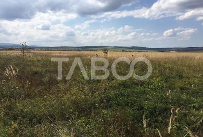 Teren intravilan cu utilitati 2269 mp 2 fronturi zona Gusterita Sibiu - 2