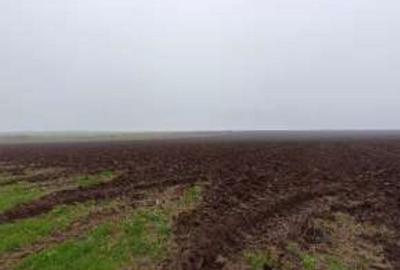 Teren de 15000 mp, în Limanu - 11