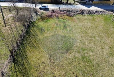 Teren Construcții intravilan de 1486 mp, în Sud - 10