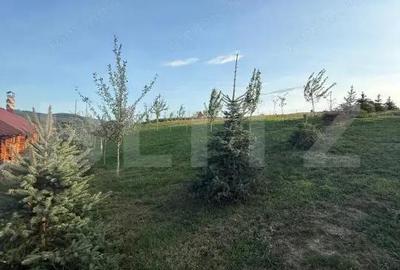 Casă cu 1 camere cu Teren 2800 Mp în Central - 6