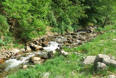 Raul Mare Retezat, spre statiunea de schi Rausor, Judetul Hunedoara - 3