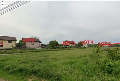 Domnesti - Ciutaci, vanzare 4 loturi de teren intravilan Domnesti - Ciutaci, vanzare 4 loturi de teren intravilan - 2