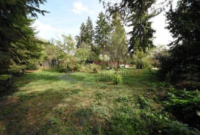 Casă individuală cu 4 camere cu Teren 978 Mp în Grigorescu - 4