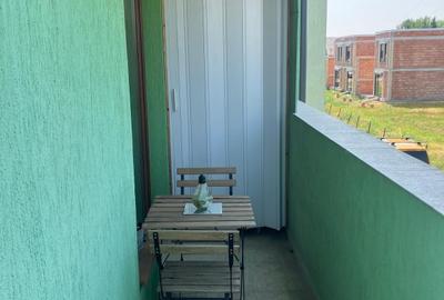 Apartament cu 3 camere decomandat, mobilat în Calea Urseni - 12