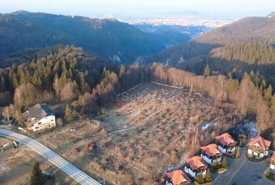 Teren de 27845 mp, în Poiana Brașov - 2