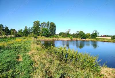 Teren 18.247 mp cu balta de pescuit Misca, Comuna Chislaz, Bihor - 11