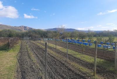 Vand parcela teren extravilan - 1