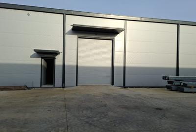 Spatii depozitare | 2 Hale 1200 mp total | Teren 2500 mp| Otopeni - Odai - 3