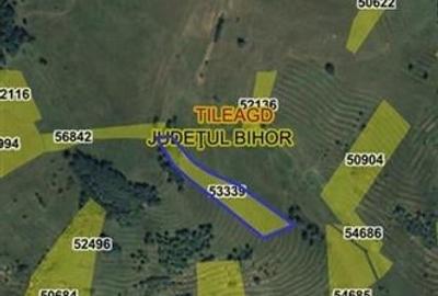 Reco  Teren extravilan Tileagd - 9