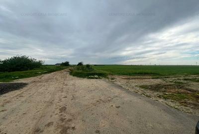 Balaceanca- teren  intravilan, toate utilitatile, 9740 mp, - 6