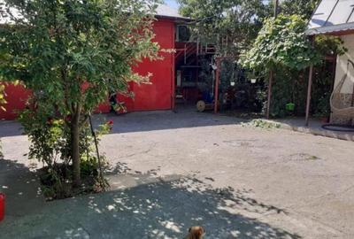 480mp utili Vila 6cam P 1 M, Lacu Sarat, 2300mp teren - 10
