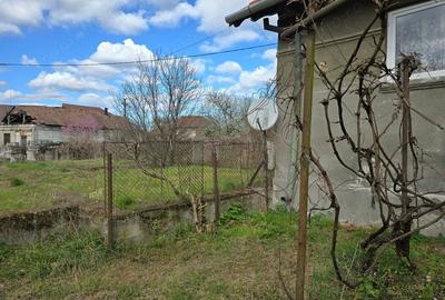 Casă cu 3 camere cu Teren 3863 Mp în Batiz - 16