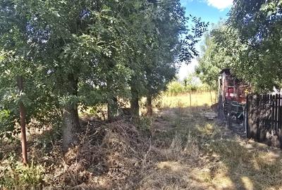 Teren de vanzare Șerbanesti - 4